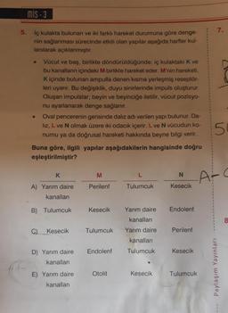 mis - 3
5.
7.
iç kulakta bulunan ve iki farklı hareket durumuna göre denge-
nin sağlanması sürecinde etkili olan yapılar aşağıda harfler kul-
lanılarak açıklanmıştır.
Vücut ve baş, birlikte döndürüldüğünde; iç kulaktaki K ve
bu kanalların içindeki M birlikte hareket eder. M'nin hareketi,
K içinde bulunan ampulla denen kısma yerleşmiş reseptor-
leri uyarır. Bu değişiklik, duyu sinirlerinde impuls oluşturur.
Oluşan impulslar; beyin ve beyinciğe iletilir, vücut pozisyo-
nu ayarlanarak denge sağlanır.
Oval pencerenin gerisinde dalız adı verilen yapı bulunur. Da-
liz, L ve N olmak üzere iki odacık içerir. Lve N vücudun ko-
numu ya da doğrusal hareketi hakkında beyne bilgi verir.
Buna göre, ilgili yapılar aşağıdakilerin hangisinde doğru
eşleştirilmiştir?
5
K
M
L
N
A-C
A) Yarım daire
Perilenf
Tulumcuk
Kesecik
kanallar
B) Tulumcuk
Kesecik
Yarım daire
Endolent
kanalları
C)
Kesecik
Tulumcuk
Yarım daire
Perilen
kanalları
Endolenf
Tulumcuk
Kesecik
D) Yarım daire
kanalları
Paylaşım Yayınları
Otolit
Kesecik
Tulumcuk
E) Yarım daire
kanalları