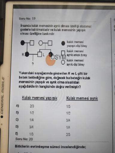 Soru No: 19
Insanda kulak memesinin ayrık olması özelliği otozomal
genlerle kalitılmaktadır ve kulak memesinin yapışık
olması özelliğine baskındır.
0 0
K.
OSY
kulak memesi
yapışık dişi birey
kulak memesi
ayrık erkek birey
kulak memesi
ayrık dişi birey
Yuka