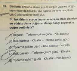 39. Bitkilerde köklerle alınan suyun sürgün uçlarına doğru
taşınmasında kılcallik, kök basıncı ve terleme-çekim
gücü gibi faktörler etkili olur.
Bu faktörlerin suyun taşınmasında en etkili olandan
en etkisiz olana doğru sıralanışı hangi seçenekte
doğru verilmiştir?
A) Kilcallik – Terleme-çekim gücü - Kök basıncı
-
B Kök basıncı – Kilcallik – Terleme-çekim gücü
Terleme-çekim gücü – Kök basıncı – Kilcallık
DKök basıncı – Terleme-çekim gücü - Kilcallik
-
E) Terleme-çekim gücü – Kilcallik - Kök basıncı
