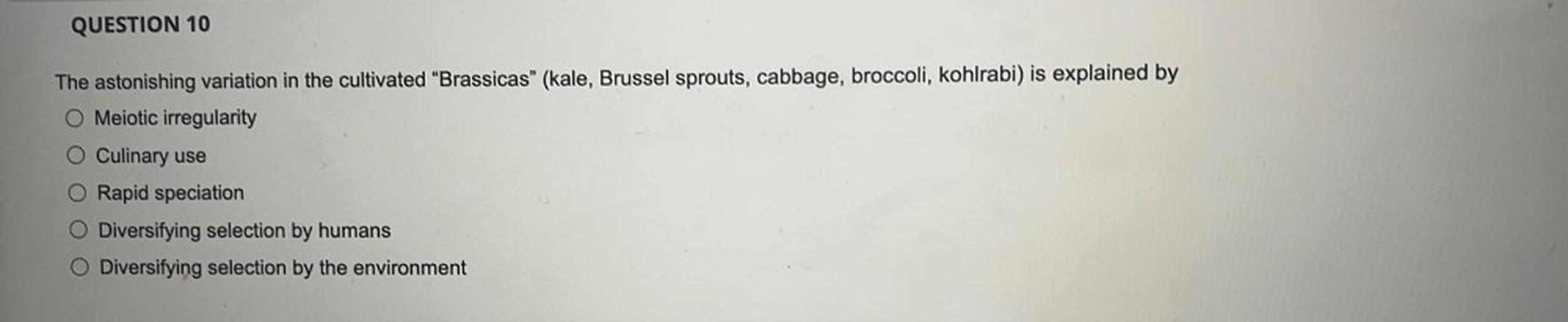 QUESTION 10
The astonishing variation in the cultivated "Brassicas" (kale, Brussel sprouts, cabbage, broccoli, kohlrabi) is explained by
Meiotic irregularity
Culinary use
O Rapid speciation
Diversifying selection by humans
O Diversifying selection by the environment