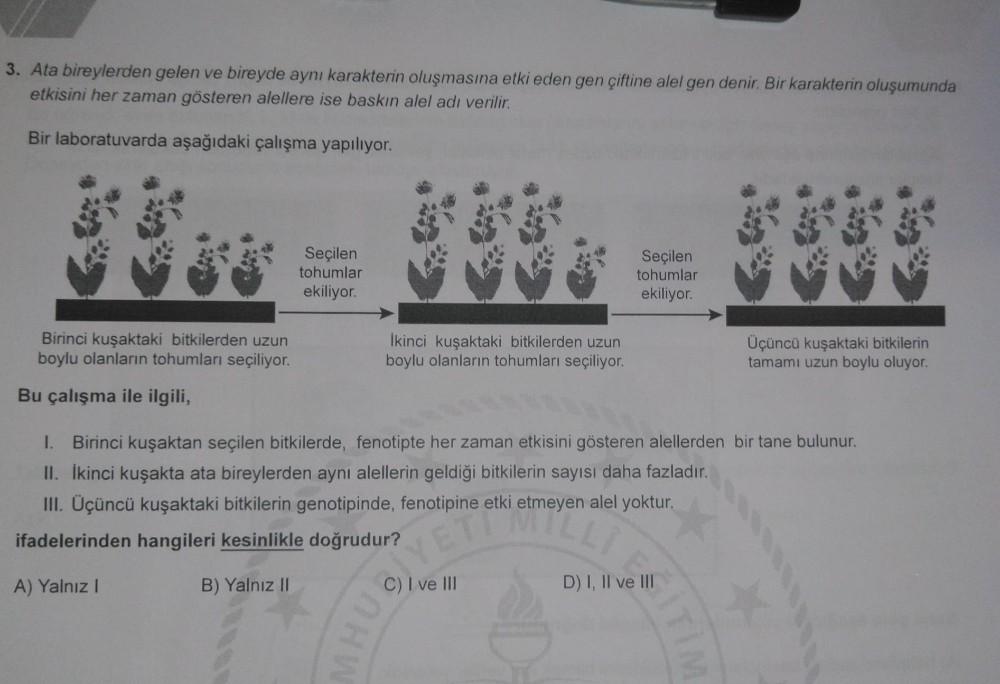 3. Ata bireylerden gelen ve bireyde ayn... - Ortaokul Fen Bilgisi