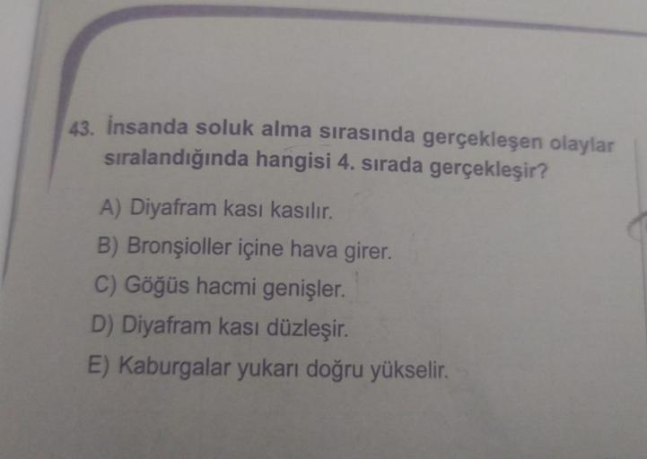 43. İnsanda soluk alma sırasında gerçekleşen olaylar
sıralandığında hangisi 4. sırada gerçekleşir?
A) Diyafram kasi kasılır.
B) Bronşioller içine hava girer.
C) Göğüs hacmi genişler.
D) Diyafram kası düzleşir.
E) Kaburgalar yukarı doğru yükselir.