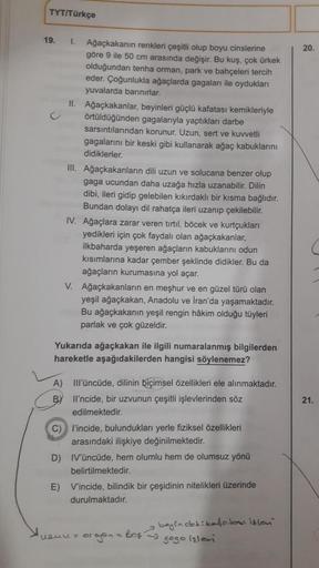 TYT/Türkçe
19.
20.
1. Ağaçkakanın renkleri çeşitli olup boyu cinslerine
göre 9 ile 50 cm arasında değişir. Bu kuş, çok ürkek
olduğundan tenha orman, park ve bahçeleri tercih
eder. Çoğunlukla ağaçlarda gagalan ile oydukları
yuvalarda barınırlar.
II. Ağaçkak