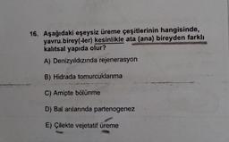 16. Aşağıdaki eşeysiz üreme çeşitlerinin hangisinde,
yavru birey(-ler) kesinlikle ata (ana) bireyden farklı
kalıtsal yapıda olur?
A) Denizyıldızında rejenerasyon
B) Hidrada tomurcuklanma
C) Amipte bölünme
D) Bal arılarında partenogenez
E) Çilekte vejetatif üreme