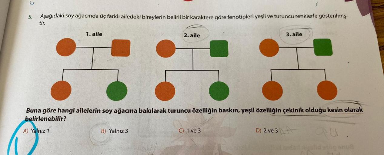 >
5.
Aşağıdaki soy ağacında üç farklı ailedeki bireylerin belirli bir karaktere göre fenotipleri yeşil ve turuncu renklerle gösterilmiş-
tir.
1. aile
2. aile
3. aile
Buna göre hangi ailelerin soy ağacına bakılarak turuncu özelliğin baskın, yeşil özelliğin
