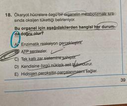 18. Ökaryot hücrelere özgü bir organelin metabolizması sira-
sında oksijen tükettiği belirleniyor.
Bu organel için aşağıdakilerden hangisi her durum-
da doğru olur?
A) Enzimatik reaksiyon gerçekleştirir.
B) ATP sentezler.
C) Tek katlı zar sistemine sahiptir.
D) Kendisine özgü nükleik asit bulundurur.
D
E) Hidrojen peroksitin parçalanmasın sağlar.
39