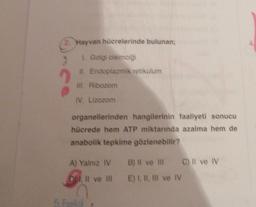 2. Hayvan hücrelerinde bulunan;
2
1. Golgi cisimli
II. Endoplazmik retikulum
ill. Ribozom
IV. Lizozom
organellerinden hangilerinin faaliyeti sonucu
hücrede hem ATP miktarında azalma hem de
anabolik tepkime gözlenebilir?
A) Yalnız IV B) Il ve Il C) Il ve IV
DI Il ve II E) I, II, III ve IV
5 Foto