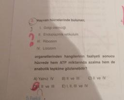 2. Hayvan hücrelerinde bulunan;
2
1. Golgi cisimli
II. Endoplazmik retikulum
ill. Ribozom
IV. Lizozom
organellerinden hangilerinin faaliyeti sonucu
hücrede hem ATP miktarında azalma hem de
anabolik tepkime gözlenebilir?
A) Yalnız IV B) Il ve Il C) Il ve IV
DI Il ve II E) I, II, III ve IV
5 Foto
