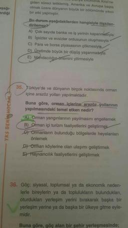 aşağı-
erdiği
nomik Krizi'ne
giden süreci tetiklemiş, Amerika ve Avrupa başta
olmak üzere dünyanın büyük bir bölümünde yıkıcı
bir etki yapmıştır.
Bu durum aşağıdakilerden hangisiyle ilişkilen-
dirilemez?
A) Çok sayıda banka ve iş yerinin kapanmasıyla
B) İş