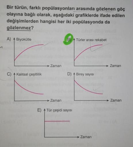 Bir türün, farklı popülasyonları arasında gözlenen göç
olayına bağlı olarak, aşağıdaki grafiklerde ifade edilen
değişimlerden hangisi her iki popülasyonda da
gözlenmez?
A) A Biyokütle
B) Türler arası rekabet
Zaman
Zaman
C) Akalıtsal çeşitlilik
D) A Birey s