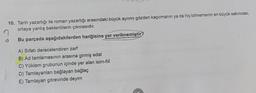 10. Tarih yazarlığı ile roman yazarlığı arasındaki büyük ayrımı gözden kaçırmanın ya da hiç bilmemenin en büyük sakıncası,
ortaya yanlış beklentilerin çıkmasıdır.
1
Bu parçada aşağıdakilerden hangisine yer verilmemiştir?
A) Sifatı derecelendiren zarf
B) Ad tamlamasının arasına girmiş edat
C) Yüklem grubunun içinde yer alan isim-fiil
D) Tamlayanları bağlayan bağlaç
E) Tamlayan görevinde deyim
