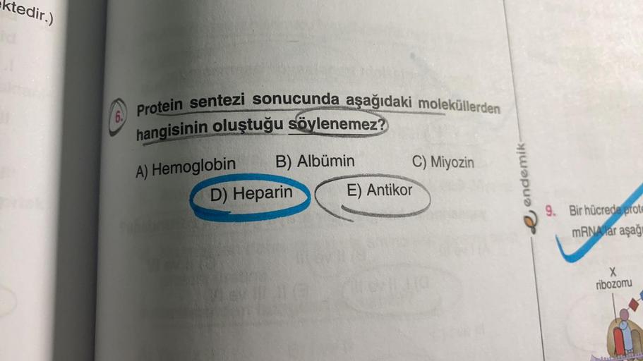 ektedir.)
6.
Protein sentezi sonucunda aşağıdaki moleküllerden
hangisinin oluştuğu söylenemez?
B) Albümin
C) Miyozin
D) Heparin E) Antikor
A) Hemoglobin
endemik
9. Bir hücrede prote
mRNA lar aşağ
X
ribozomu