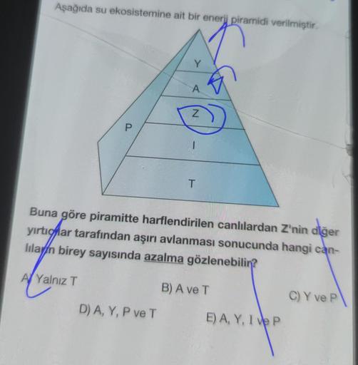 Aşağıda su ekosistemine ait bir enerji piramidi verilmiştir.
Y
A
N
P
T
Buna göre piramitte harflendirilen canlılardan Z'nin diğer
yirtiqlar tarafından aşırı avlanması sonucunda hangi can-
lila/n birey sayısında azalma gözlenebilin?
Al Yalnız T
B) A ve T
C)