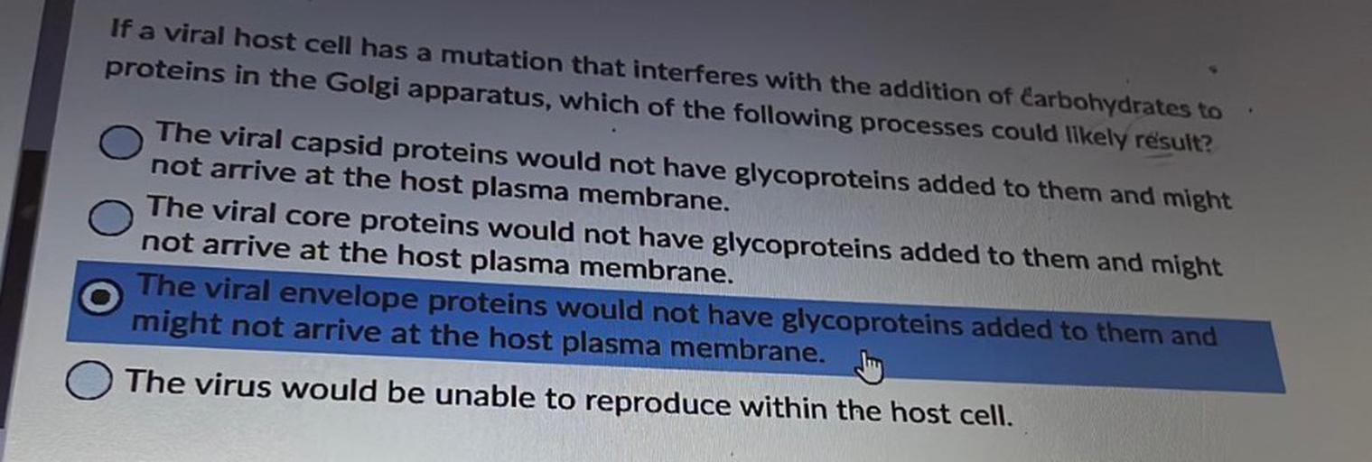 If a viral host cell has a mutation that interferes with the addition of carbohydrates to proteins in the Golgi apparatus, which of the following processes could likely result?
a) The viral capsid proteins would not have glycoproteins added to them and might not arrive at the host plasma membrane.
b) The viral core proteins would not have glycoproteins added to them and might not arrive at the host plasma membrane.
c) The viral envelope proteins would not have glycoproteins added to them and might not arrive at the host plasma membrane.
d) The virus would be unable to reproduce within the host cell.