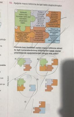 sel
olduğu
na
m
enekte
e
ti en
lirli bir
er
Palme Yayınevi
15. Aşağıda mayoz bölünme ile ilgili tablo oluşturulmuştur.
Profaz I 3
Nükleotit
dizilimi ana
Anafaz II
evresinde
evresinde
homolog
sentromer
hücreden farklı olan
bölünmesi
kromozomlar
hücrelerin
sonucu
ekvatoral
kromatitler
oluşmasını
düzleme
sağlar.
çift sıralı
olarak dizilir.
hücrenin zıt
kutuplarına doğru
hareket eder.
Mayoz bölünme
sürecinde
karyokinez
Mayoz I ve
mayoz II arasında
gerçekleşen
DNA
Homolog kromozom
çiftlerinin şansa
bağlı olarak
konumlanması ve
ayniması 2'lik
ve sitokinez
olaylanı üçer
kez gerçekleşir.
replikasyonu
kromozom
sayısının
yarıya düşmesini
sağlar.
varyasyon
oluşmasını sağlar.
Tabloda bazı özellikleri verilen mayoz bölünme süreci
ile ilgili numaralandırılmış bölümlerden hatalı olanlar
çıkarıldığında aşağıdakilerden hangisi elde edilir?
A)
B) O
80
D)
m
5
6