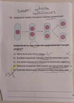 Bakteri mitorla
bölünmer
18. Aşağıda bir bakteri hücresinin üremesi gösterilmiştir.
Bakterilerde bu olay sırasında aşağıdakilerden hangisi
gözlenir?
A) Mitoz ile iki yeni hücre oluşur...
B) iğ iplikleri sayesinde halkasal DNA'lar birbirinden ayrılır.
C) Ara lamel oluşmasıyla sitoplazma bölünmesi sağlanır
D) Bölünme öncesinde DNA kendini yarı korunumlu eşler.
EX Çekirdek bölünmesini sitoplazma bölünmesi takip eder.
3
at