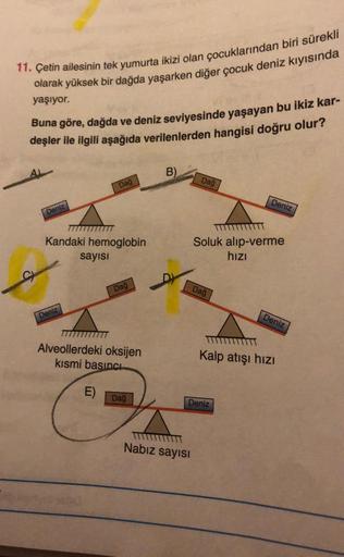 11. Çetin ailesinin tek yumurta ikizi olan çocuklarından biri sürekli
olarak yüksek bir dağda yaşarken diğer çocuk deniz kıyısında
yaşıyor.
Buna göre, dağda ve deniz seviyesinde yaşayan bu ikiz kar-
deşler ile ilgili aşağıda verilenlerden hangisi doğru olu