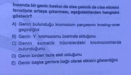 Insanda bir genin baskın da olsa çekinik de clsa etkisini
fenotipte ortaya çıkarması, aşağıdakilerden hangisini
gösterir?
A) Genin bulunduğu kromozom parçasının krosing-over
geçirdiğini
B) Genin Y kromozomu üzerinde olduğunu
C) Genin somatik hücrelerdeki
kromozomlarda
bulunduğunu
D) Genin birden fazla aleli olduğunu
E) Genin başka genlere bağlı olarak etkisini gösterdiğini