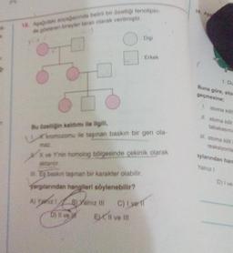 18 Apadaki soyağacında belirli bir özelliği fenotipin
de gosteren bireyler tarair olarak verilmiştir.
Dişi
0
: Erkek
Bu özelliğin kalıtımı ile ilgili,
kromozomu ile taşınan baskın bir gen ola-
X ve Y'nin homolog bölgesinde çekinik olarak
aktanir
Eg baskin taşınan bir karakter olabilir.
yargılarından hangileri söylenebilir?
A) Yaz 1
B) Yalnız ill
C) I ve f
Dili ve uf
EX. Il ve Ill
10. Ag
1. Du
Buna göre, stor
geçmesine:
I, stoma kilit
II. stoma kilit
tabakasını
III. stoma kilit
reaksiyonla
aylarından han
Yalnız I
D) Ive