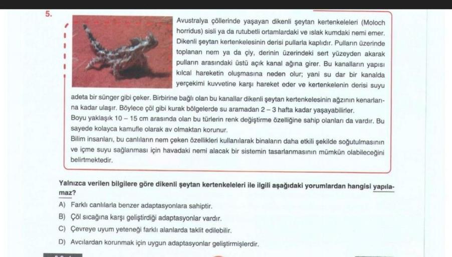 Avustralya çöllerinde yaşayan dikenli şeytan kertenkeleleri (Moloch
horridus) sisli ya da rutubetli ortamlardaki ve ıslak kumdaki nemi emer.
Dikenli şeytan kertenkelesinin derisi pullarla kaplıdır. Pulların üzerinde
toplanan nem ya da çiy, derinin üzerinde
