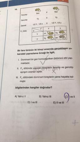 16.
Fenotip
Genotip
Sarı
Yy
1/2 Y, 1/2 y
Gamet
y
F₁ Dölü
Yy
y
Yy
yy
Bir fare türünün iki bireyi arasında gerçekleşen yu-
karıdaki çaprazlama örneği ile ilgili,
I. Dominant bir gen homozigotken öldürücü etki yap-
maktadır.
II. F, dölünde yaşayan bireylerin fenotip ve genotip
ayrışım oranları eşittir.
X
III. F, dölündeki dominant bireylerin yarısı hayatta kal-
mıştır.
bilgilerinden hangiler doğrudur?
A) Yalnız II
B) Yalnız III
ve II
D) I ve III
Sarı
1/2 Y, 1/2 y
3
9
X
Y
X
YY
Y
E) II ve III
+