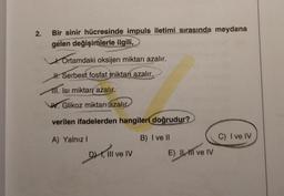 2.
Bir sinir hücresinde impuls iletimi sırasında meydana
gelen değişimlerle ilgili,
Ortamdaki oksijen miktarı azalır.
H. Serbest fosfat miktarı azalır.
111. Isı miktarı azalır.
W.Glikoz miktarı azalır.
verilen ifadelerden hangileri doğrudur?
A) Yalnız
I
B) I ve II
C) I ve IV
DIT,
III ve IV
E) I, II ve IV