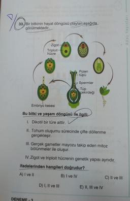 YO
33. Bir bitkinin hayat döngüsü olayları aşağıda
görülmektedir.
Zigot-
Polen
-tüpü
Spermler
- Tüp
çekirdeği
Embriyo kesesi
Bu bitki ve yaşam döngüsü ile ilgili;
1. Dikotil bir türe aittir.
II. Tohum oluşumu sürecinde çifte döllenme
gerçekleşir.
III. Gerçek gametler mayozu takip eden mitoz
bölünmeler ile oluşur.
IV.Zigot ve triploit hücrenin genetik yapısı aynıdır.
ifadelerinden hangileri doğrudur?
10
A) I ve II
B) I ve IV
C) II ve III
D) I, II ve III
DENEME - 3
Triploit
hücre
Aday Yayınları
E) II, III ve IV