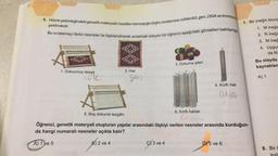 şeklindedir.
5. Hücre çekirdeğindeki genetik materyalin basitten karmaşığa doğru sıralaması nükleotid, gen, DNA ve kromozo
Bu sıralamayı farklı nesneler ile ilişkilendirerek anlatmak isteyen bir öğrenci aşağıdaki görselleri belirlemişs
20
3. Dokuma ipleri
2. Hali
1. Dokunmuş desen
s desestima
gen
4. Kılıflı halı
DUA
6. Kılıflı halılar
5. Boş dokuma tezgâhı
Krom
Öğrenci, genetik materyali oluşturan yapılar arasındaki ilişkiyi verilen nesneler arasında kurduğun-
da hangi numaralı nesneler açıkta kalır?
2 ve 4
X3 ve 4
DY5 ve 6
A) 1 ve 5
7. Bir ineğin klonla
1. M ineğin
2. R ineğin
3. Mineğ
4. Uygur
da M
Bu olayda
kaynaklan
A) 1
8. Bir c
ilgili