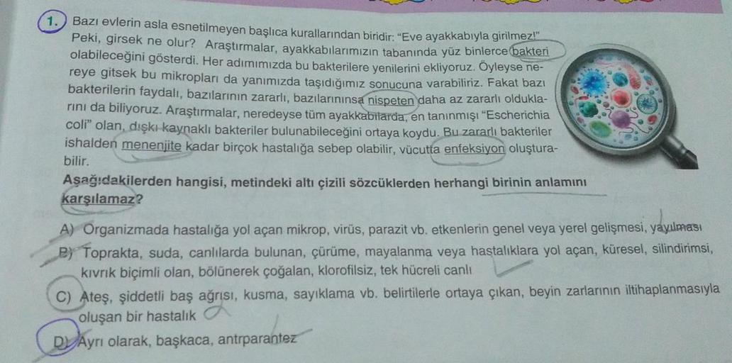 1. Bazı evlerin asla esnetilmeyen başlıca kurallarından biridir: "Eve ayakkabıyla girilmez!"
Peki, girsek ne olur? Araştırmalar, ayakkabılarımızın tabanında yüz binlerce bakteri
olabileceğini gösterdi. Her adımımızda bu bakterilere yenilerini ekliyoruz. Öy