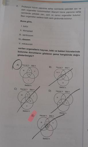 7.
Prokaryot hücre yapısına sahip canlılarda çekirdek zarı ve
zarlı organeller bulunmazken ökaryot hücre yapısına sahip
canlılarda çekidek zarı, zarlı ve zarsız organeller bulunur.
Bazı organeller sadece belli canlı grubunda bulunur.
Buna göre,
1. koful
II