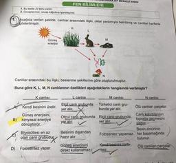 AIT MERKEZİ SINAV
FEN BİLİMLERİ
1. Bu testte 20 soru vardır.
2. Cevaplarınızı, cevap kâğıdına işaretleyiniz.
1. Aşağıda verilen şekilde, canlılar arasındaki ilişki, oklar yardımıyla belirtilmiş ve canlılar harflerle
gösterilmiştir.
K
L
M
Güneş
enerjisi
N
C