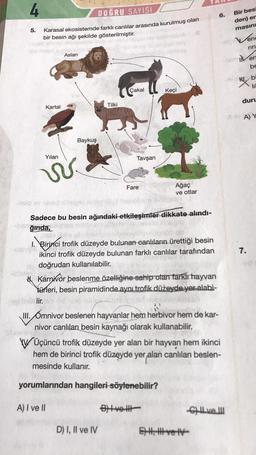 4
DOĞRU SAYISI
5.
Karasal ekosistemde farklı canlılar arasında kurulmuş olan
bir besin ağı şekilde gösterilmiştir.
Aslan
Çakal
Keçi
Tilki
Baykuş
Kartal
Yılan
vv.
Fare
Ağaç
ve otlar
axo ay nigo
Sadece bu besin ağındaki etkileşimler dikkate alındı-
Rğında,
1. Birinci trofik düzeyde bulunan canlıların ürettiği besin
ikinci trofik düzeyde bulunan farklı canlılar tarafından
doğrudan kullanılabilir.
Karnivor beslenme özelliğine sahip olan farklı hayvan
türleri, besin piramidinde aynı trofik düzeyde yer alabi-
lir.
10
2
III. Omnivor beslenen hayvanlar hem herbivor hem de kar-
nivor canlıları besin kaynağı olarak kullanabilir.
VVÜçüncü trofik düzeyde yer alan bir hayvan hem ikinci
hem de birinci trofik düzeyde yer alan canlıları beslen-
mesinde kullanır.
yorumlarından hangileri söylenebilir?
A) I ve II
Blvell
-Gve III
D) I, II ve IV
Tavşan
6.
E ve IV
Bir besi
den) en
masin
Vene
rin
en
be
bi
li
duru
A) Y
7.