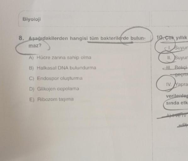 Biyoloji 8. Aşağıdakilerden hangisi tüm bakterilerd… Biyoloji Biyoloji 8. Aşağıdakilerden hangisi tüm bakterilerd… Biyoloji