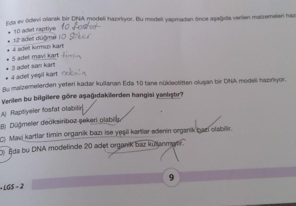 Eda ev ödevi olarak bir DNA modeli hazı&hellip; Ortaokul Fen Bilgisi