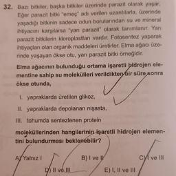 32. Bazı bitkiler, başka bitkiler üzerinde parazit olarak yaşar.
Eğer parazit bitki "emeç" adı verilen uzantılarla, üzerinde
yaşadığı bitkinin sadece odun borularından su ve mineral
ihtiyacını karşılarsa "yarı parazit" olarak tanımlanır. Yarı
parazit bitkilerin kloroplastları vardır. Fotosentez yaparak
ihtiyaçları olan organik maddeleri üretirler. Elma ağacı üze-
rinde yaşayan ökse otu, yarı parazit bitki örneğidir.
Elma ağacının bulunduğu ortama işaretli hidrojen ele-
mentine sahip su molekülleri verildikten bir süre sonra
ökse otunda,
I. yapraklarda üretilen glikoz,
II. yapraklarda depolanan nişasta,
III. tohumda sentezlenen protein
moleküllerinden hangilerinin işaretli hidrojen elemen-
tini bulundurması beklenebilir?
AY Yalnız I
Jorda
B) I ve II
CI ve III
II ve III
E) I, II ve III