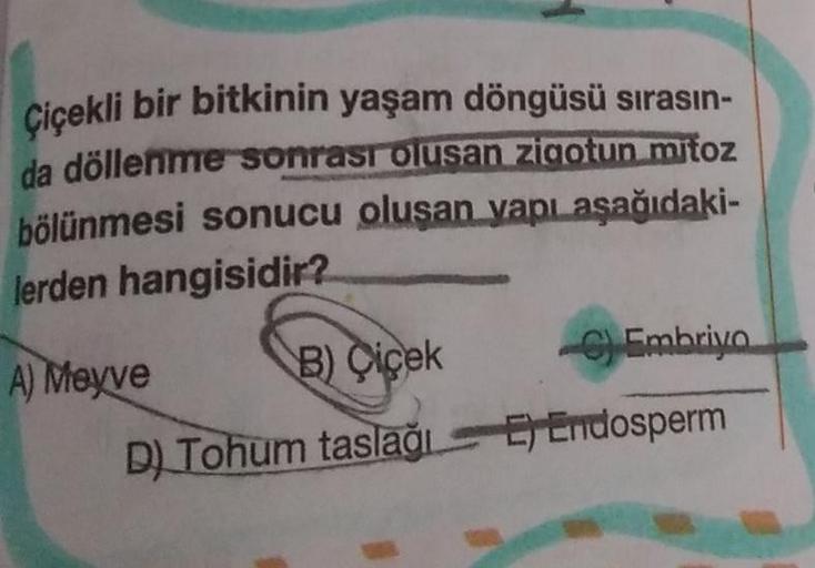 Çiçekli bir bitkinin yaşam döngüsü sırasın-
da döllenme sonrası olusan zigotun mitoz
bölünmesi sonucu oluşan yapı aşağıdaki-
lerden hangisidir?
A) Meyve
B) Cicek
C) Embriyo
D) Tohum taslağı E) Endosperm