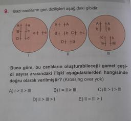 9. Bazı canlıların gen dizilişleri aşağıdaki gibidir.
A+ ta
A+ +A
et te
B+ +b
Dt td
B+ +b C+ tc
D+ +d
mt +M
||
|||
Buna göre, bu canlıların oluşturabileceği gamet çeşi-
di sayısı arasındaki ilişki aşağıdakilerden hangisinde
doğru olarak verilmiştir? (Krossing over yok)
A) | > || > III
B) | = || > |||
C) || > | > III
D) || > ||| > |
E) || = ||| > |
A
ô tô