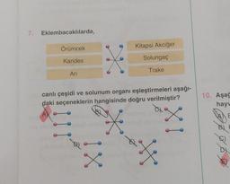 7. Eklembacaklılarda,
Örümcek
Kitapsi Akciğer
Karides
X
Solungaç
Arı
Trake
canlı çeşidi ve solunum organı eşleştirmeleri aşağı-
daki seçeneklerin hangisinde doğru verilmiştir?
A
X
¡X
XI
10. Aşağ
hayv
E
C)