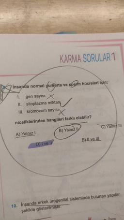 KARMA SORULAR 1
insanda normal yumurta ve sperm hücreleri için;
1. gen sayısı, X
II.
sitoplazma miktarı,
III. kromozom sayısı
"X
niceliklerinden hangileri farklı olabilir?
A) Yalnız I
B) Yalnız I
D) I ve II
E) II ve III
10. Inşanda erkek Ürogenital sisteminde bulunan yapılar
şekilde gösterilmiştir.
Üreter
C) Yalnız III