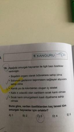 I KANGURU
18. Aşağıda omurgalı hayvanlar ile ilgili bazı özellikler
verilmiştir.
• Boşaltım organı olarak böbreklere sahip olma
●
• Solunum gazlarının taşınmasını sağlayan alyuvara
sahip olma
✓•
Kemik ya da kıkırdaktan oluşan iç iskelet
Kalbi 4 odacıklı olan canlıların sıcak kanlı olması
• Sıcak kanlı omurgalıların kaslı diyaframa sahip
olması
Buna göre, verilen özelliklerden kaç tanesi tüm
omurgalı hayvanlar için ortaktır?
A) 1
B) 2
C) 3
D) 4
E) 5