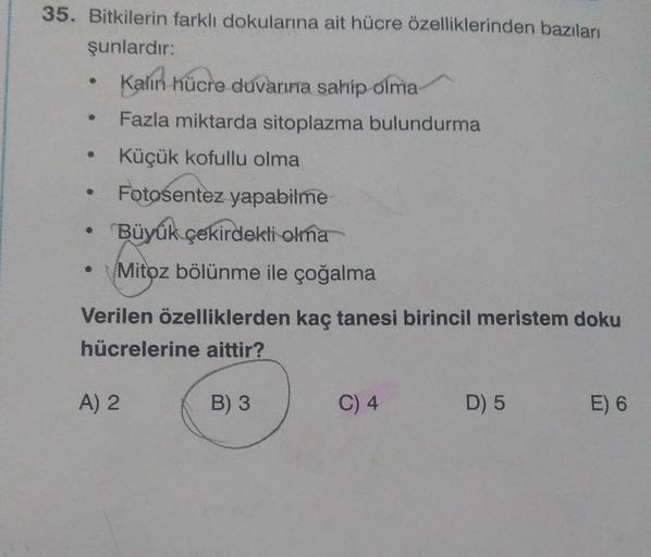35. Bitkilerin farklı dokularına ait hücre özellikl… Biyoloji 35. Bitkilerin farklı dokularına ait hücre özellikl… Biyoloji