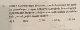 3. Diploit hücrelerinde 10 kromozom bulunduran bir canlı-
da gerekleşen mayoz bölünme sürecinde homolog kro-
mozomların bağımsız dağılımına bağlı olarak oluşabile-
cek gamet çeşidi sayısı kaçtır?
A) 4
B) 8
C) 16
A
D) 32
E) 64
10*2