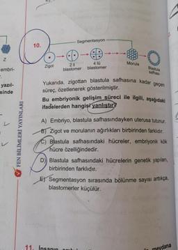 Z
embri-
P
yazıl-
sinde
Segmentasyon
Co get
10.
4 lü
Morula
Zigot
2 li
blastomer
blastomer
Blastula
safhası
Yukarıda, zigottan blastula safhasına kadar geçen
süreç, özetlenerek gösterilmiştir.
Bu embriyonik gelişim süreci ile ilgili, aşağıdaki
ifadelerden hangisi yanlıştır?
A) Embriyo, blastula safhasındayken uterusa tutunur.
B) Zigot ve morulanın ağırlıkları birbirinden farklıdır.
C) Bastula safhasındaki hücreler, embriyonik kök
hücre özelliğindedir.
D) Blastula safhasındaki hücrelerin genetik yapıları,
birbirinden farklıdır.
E) Segmentasyon sırasında bölünme sayısı arttıkça,
blastomerler küçülür.
shut
meydana
FEN BİLİMLERİ YAYINLARI
11. İnsanın