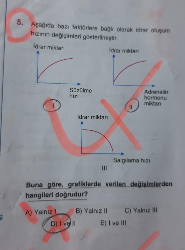 5. Aşağıda bazı faktörlere bağlı olarak idrar oluşu... - Biyoloji