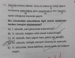 10. Aslında herkes dâhidir. Ama siz kalkıp bir balığı ağaca
11
tırmanma yeteneğine göre yargılarsanız tüm hayatını
IV
V
aptal olduğuna inanarak geçirir.
Bu cümledeki sözcüklerle ilgili olarak aşağıdaki-
lerden hangisi söylenemez?
A) I. sözcük, zarf görevinde kullanılmıştır.
B) II. sözcük, belgisiz sifat olarak kullanılmıştır.
C) III. sözcük, hem yapım hem çekim eki almıştır.
DIV. sözcük, birleşik zamanlı türemiş bir eylemdir.
E) V. sözcükte, önce belirtme, sonra iyelik eki kullanıl-
mıştır.