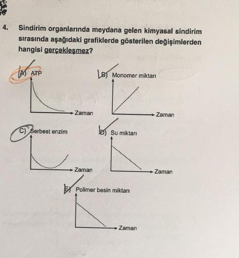 4.
Sindirim organlarında meydana gelen kimyasal sindirim
sırasında aşağıdaki grafiklerde gösterilen değişimlerden
hangisi gerçekleşmez?
A ATP
LB Monomer miktarı
C) Serbest enzim
Su miktarı
Zaman
Polimer besin miktarı
Zaman
Zaman
Zaman
Zaman