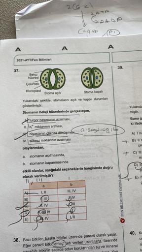 A)
B)
E)
IV
2 (62)
1
(64) PP
A
2021-AYT/Fen Bilimleri
37.
Bekçi
hücresi
Çekirdek
Kloroplast
Stoma açık
Stoma kapalı
Yukarıdaki şekilde, stomaların açık ve kapalı durumları
gösterilmiştir.
Stomanın bekçi hücrelerinde gerçekleşen,
turgor basıncının azalması,