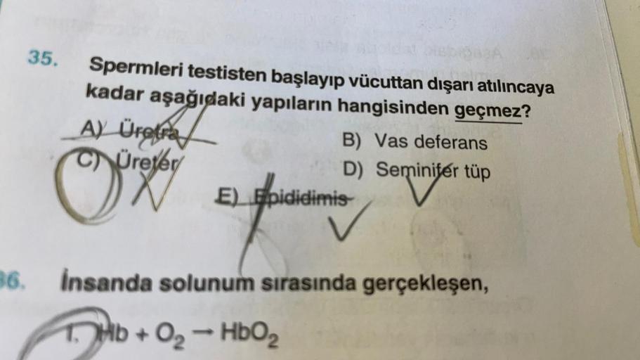 35.
Spermleri testisten başlayıp vücuttan dışarı atılıncaya
kadar aşağıdaki yapıların hangisinden geçmez?
A) Üretra
B) Vas deferans
CÜreter
D)
Seminite
Seminifer tüp
E) Epididimis-
36. İnsanda solunum sırasında gerçekleşen,
1. Hb + 0₂ - HbO₂