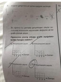 8.
Insanın gelişimine ait şema aşağıda verilmiştir.
ondate
2
3
4
Bir öğrenci bu şemada gerçekleşen olaylar so-
nucunda kromozom sayısındaki değişime ait bir
grafik çizmek istiyor.
Öğrencinin çizmiş olduğu grafik aşağıdaki-
lerden hangisi olabilir?
A) Kromozom sayısı B) Kromozom sayısı
Zaman
→→ Zaman
1 2 3 4
1 2 3 4
CYKromozom sayısı
D) Kromozom sayısı
1234
1234
► Zaman
Zaman
10.