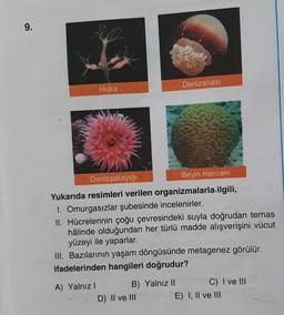 9.
Hidra
Denizanası
Denizşakayığı
Beyin mercani
Yukarıda resimleri verilen organizmalarla ilgili,
1. Omurgasızlar şubesinde incelenirler.
II. Hücrelerinin çoğu çevresindeki suyla doğrudan temas
hâlinde olduğundan her türlü madde alışverişini vücut
yüzeyi ile yaparlar.
III. Bazılarının yaşam döngüsünde metagenez görülür.
ifadelerinden hangileri doğrudur?
A) Yalnız I
B) Yalnız II
C) I ve III
D) II ve III
E) I, II ve III